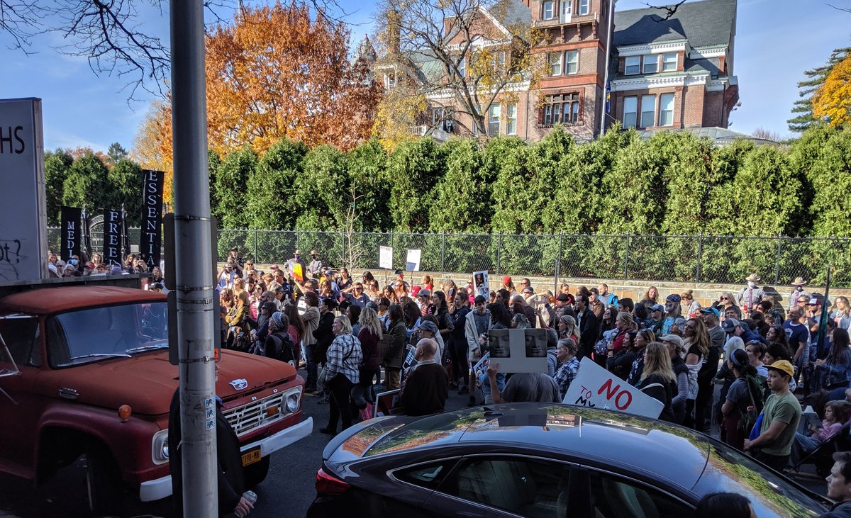 lex6m's tweet photo. Today in Albany, NY at the governor's mansion. No to the #NewNormal No #forcedvaxx
Yes to The People! ❤️✊ https://t.co/HSpmCh5QLO