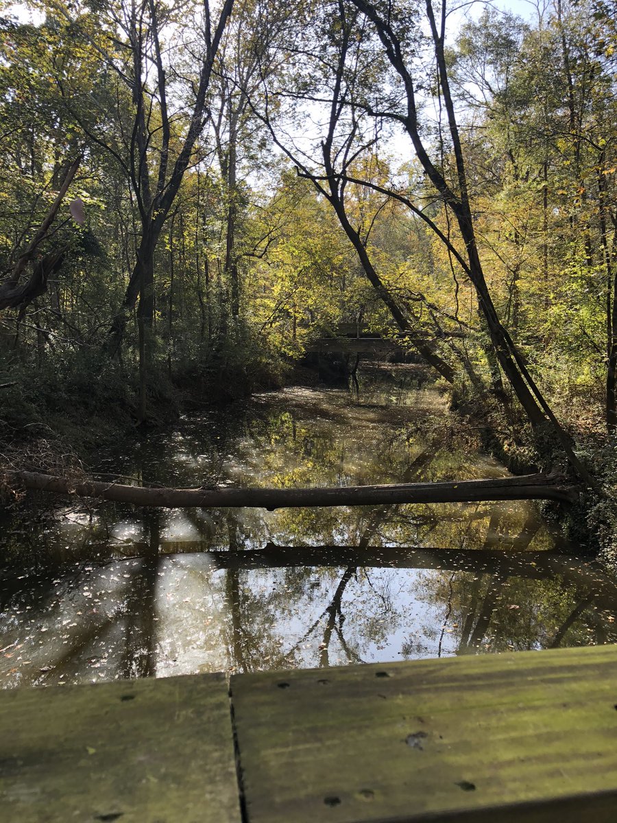 IrmoStrong5k's tweet photo. An oasis so close to home. What are your favorite things about Saluda Shoals Park? We love walking along the river. #irmostrong #irmostrong5k #PrideIn5 #thisisirmo #irmosc https://t.co/tfff7Ctmsf