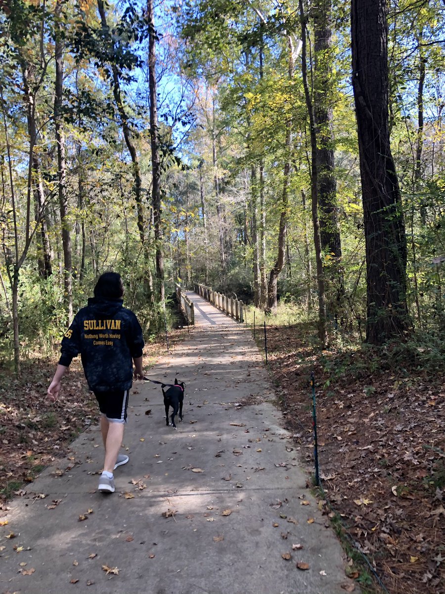 IrmoStrong5k's tweet photo. An oasis so close to home. What are your favorite things about Saluda Shoals Park? We love walking along the river. #irmostrong #irmostrong5k #PrideIn5 #thisisirmo #irmosc https://t.co/tfff7Ctmsf