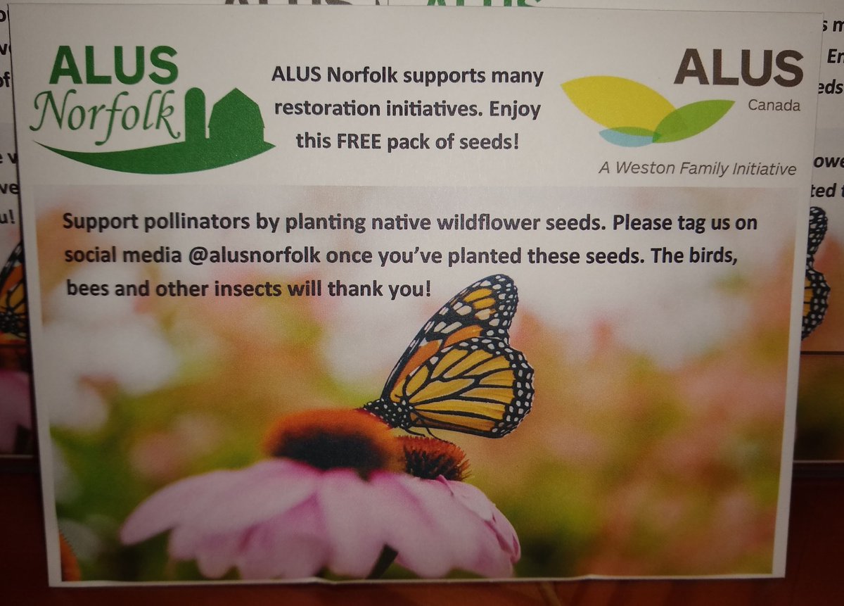 BonnieheathFarm's tweet photo. @ALUSNorfolk just dropped off some native pollinator seed packs in support of native pollinators. Stop by to pick up your FREE pack today. It is a great time of year to plant them.  #monarchs #milkweed #nativepollinators #alusnorfolk #aluscanada #birdsbeesinsects #plantnative https://t.co/3xsgoC6zYc