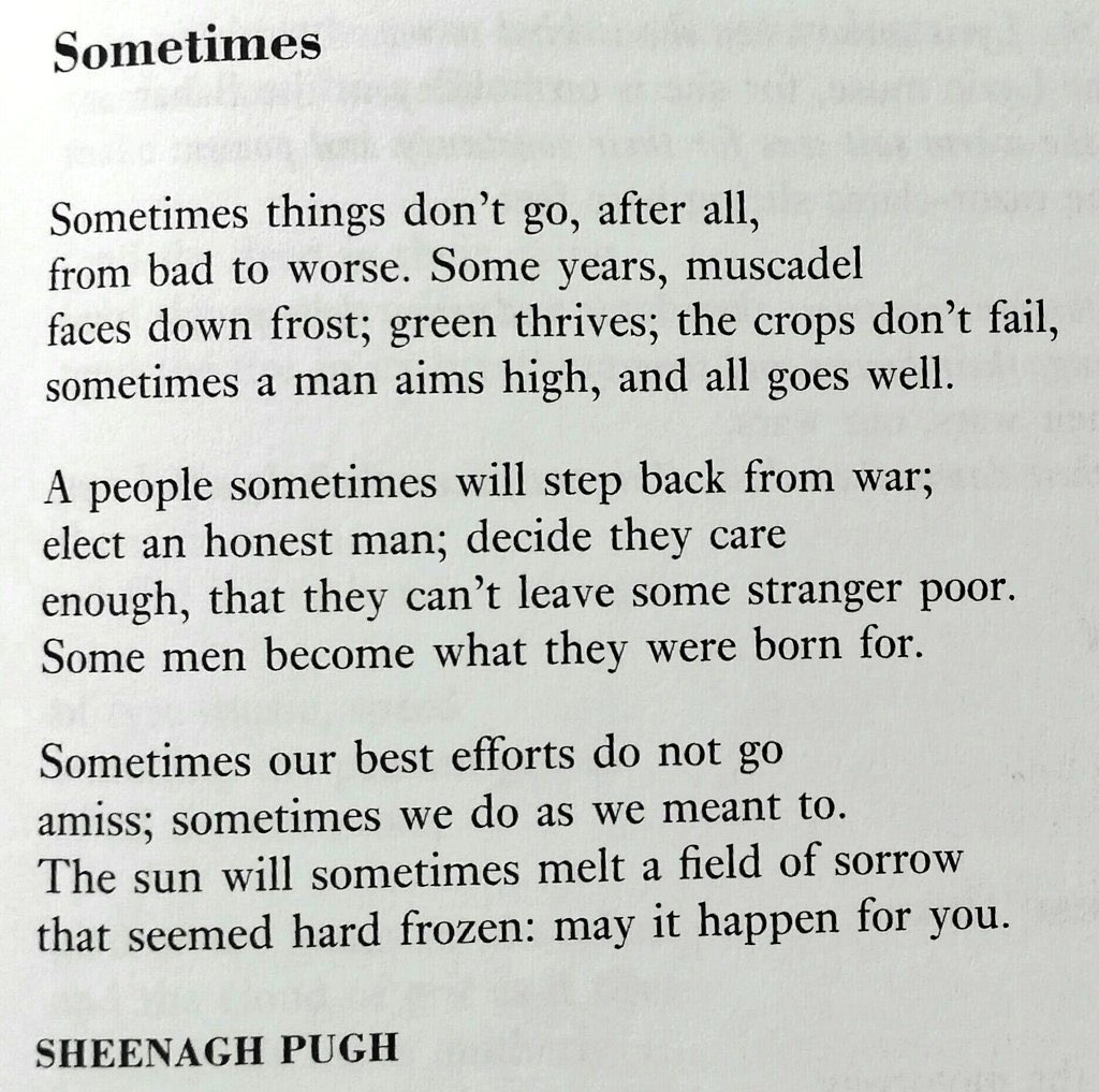 HughesPeg's tweet photo. For the day that’s in it ✨ https://t.co/j53gk7vtUz
