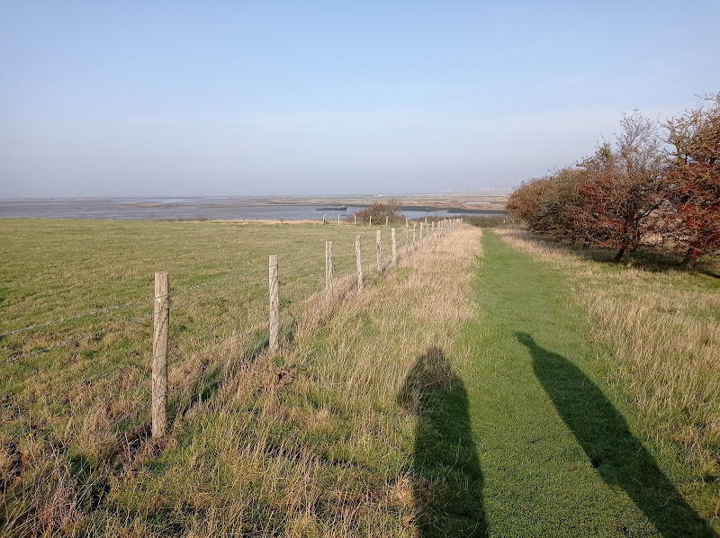 We started on Raspberry Hill Lane and walked east up Raspberry Hill, which stands a majestic 18 whole metres above sea level, then joined the Stour Valley Walk taking us north, back down to join the east cheek of Bedlam's Bottom.