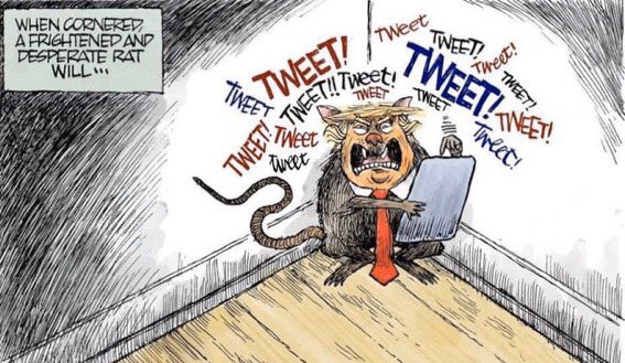 bartonchris125's tweet photo. @realDonaldTrump You lost by vote of the American people. Put your big boy pants on and accept it. https://t.co/HGSy8ypiYT