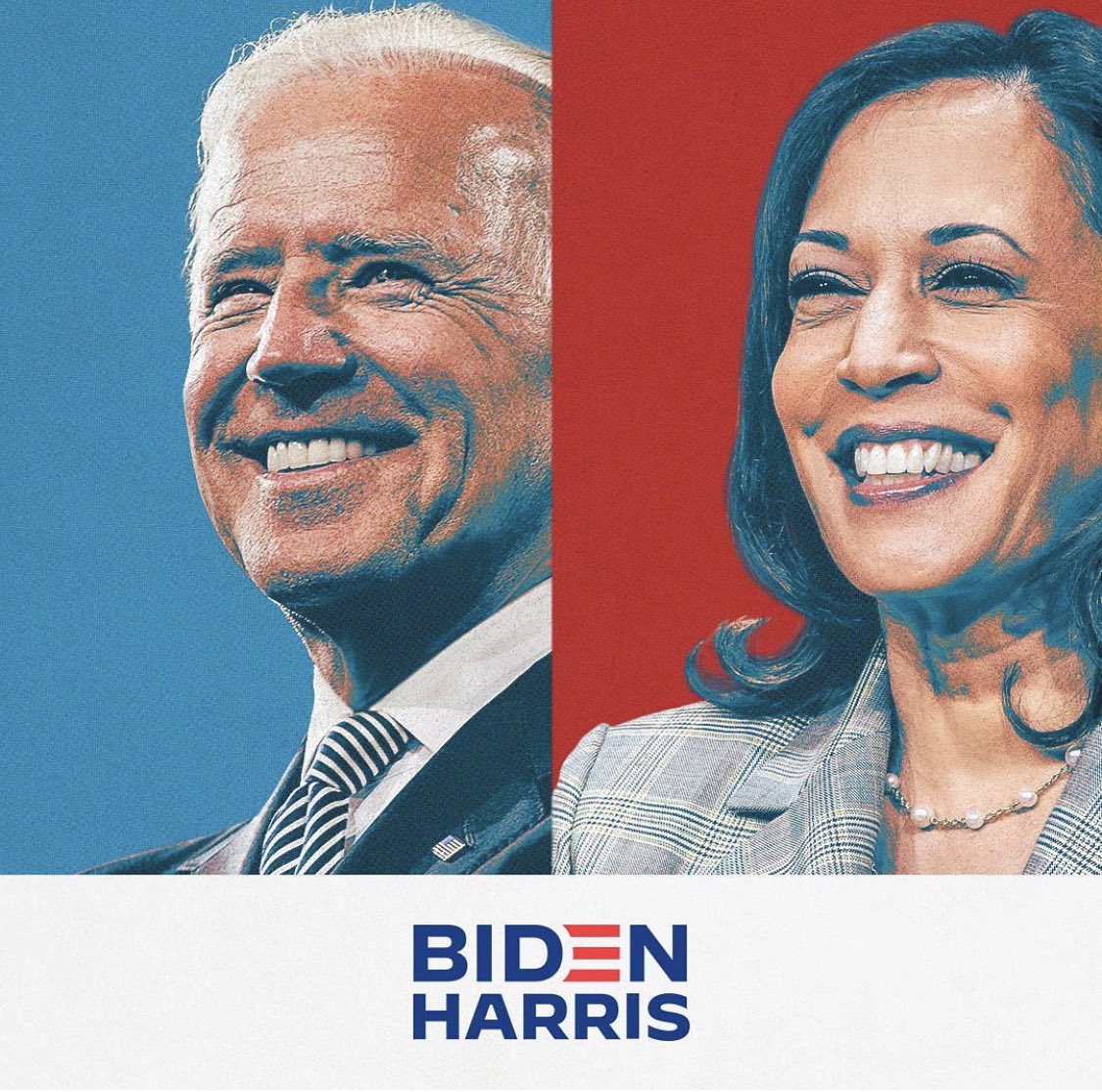 Relative_Baba's tweet photo. Congratulations to @JoeBiden and @KamalaHarris . https://t.co/etHBHYJmei