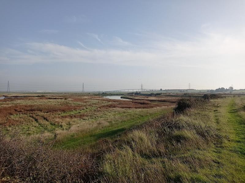 Despite the odd shotgun pop this is - if you can compartmentalise the rumble and roar from the Sheppey road bridge - a gloriously peaceful walk. We ran into not one person on this first lockdown Saturday when a lot of the coast was probably chocka.