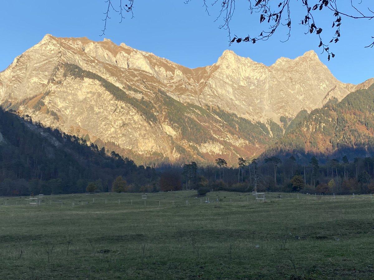 heinzduerler's tweet photo. @thomaskollegger Lieber Thomas, es ist und bleibt und war
ER weiss, wie es sich anfühlt als Star 😉
#dereinzigwahre https://t.co/KmUBHRFUk3
