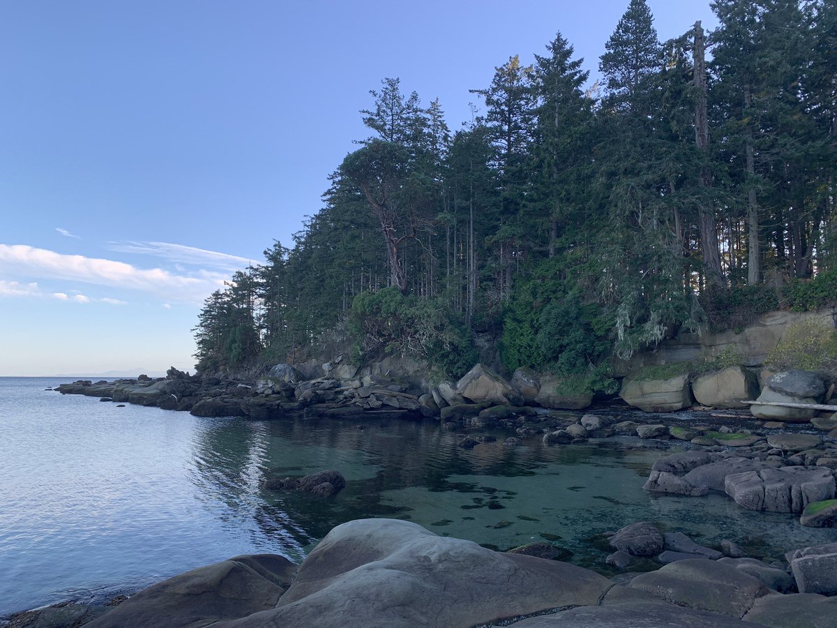 TrustTheRide's tweet image. Beautiful scenery surrounding us on #hornbyisland
This place is heavenly! Can’t wait to bring our bus here!! #trusttheride