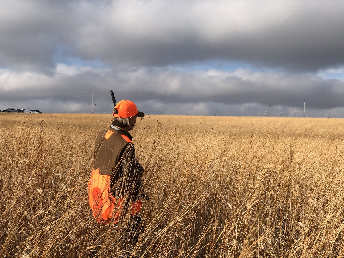 KimReynoldsIA's tweet image. A beautiful day for the 34th Annual Governor’s Pheasant Hunt in Crawford County! 🇺🇸🇺🇸🇺🇸