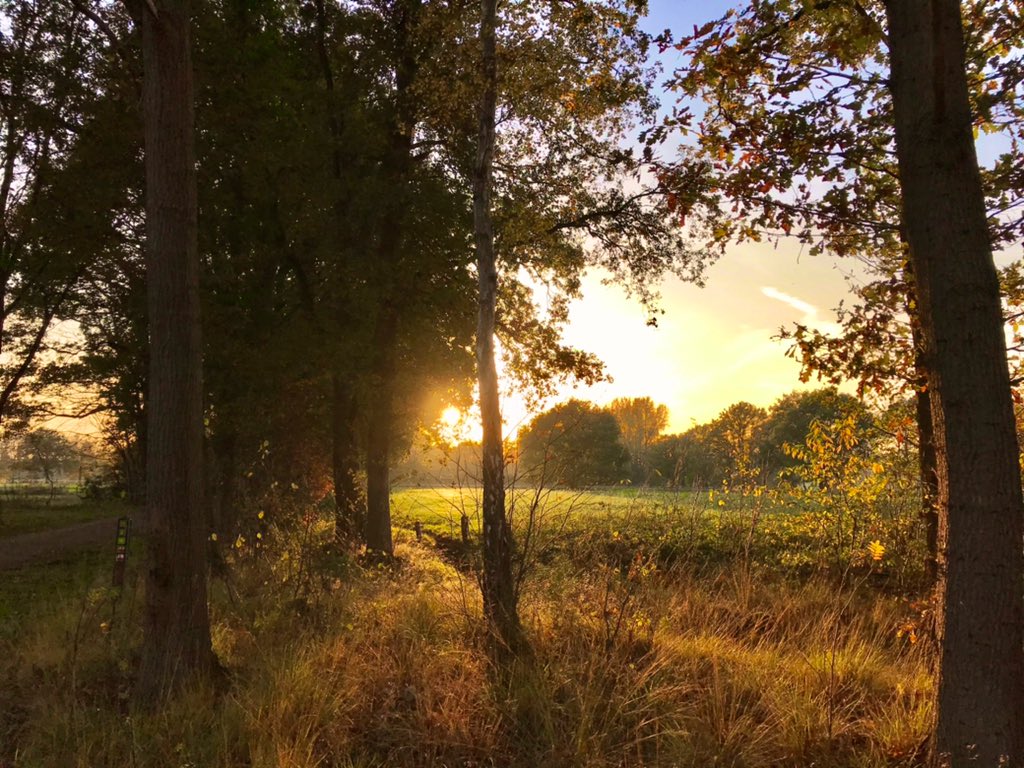 marielle_paul's tweet photo. Daily walk in the beautiful surroundings where I grew up. I love ‘my’ Amsterdam, but this is lovely too! #dailywalk #brabant #dusk #workhardwalkharder #heeze #parelvanbrabant #socialdistancing #nature #autumn #autumnvibes https://t.co/Jr3N6Odsis