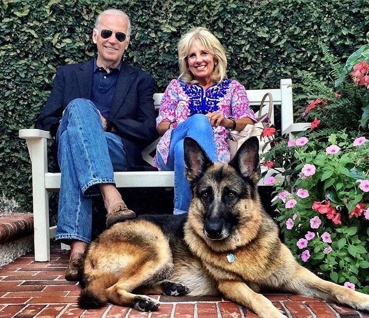 Mcoury2000's tweet photo. Biden’s dog is gonna love the White House! 🥺💕🐶 #Biden https://t.co/kGTGkHVf0u
