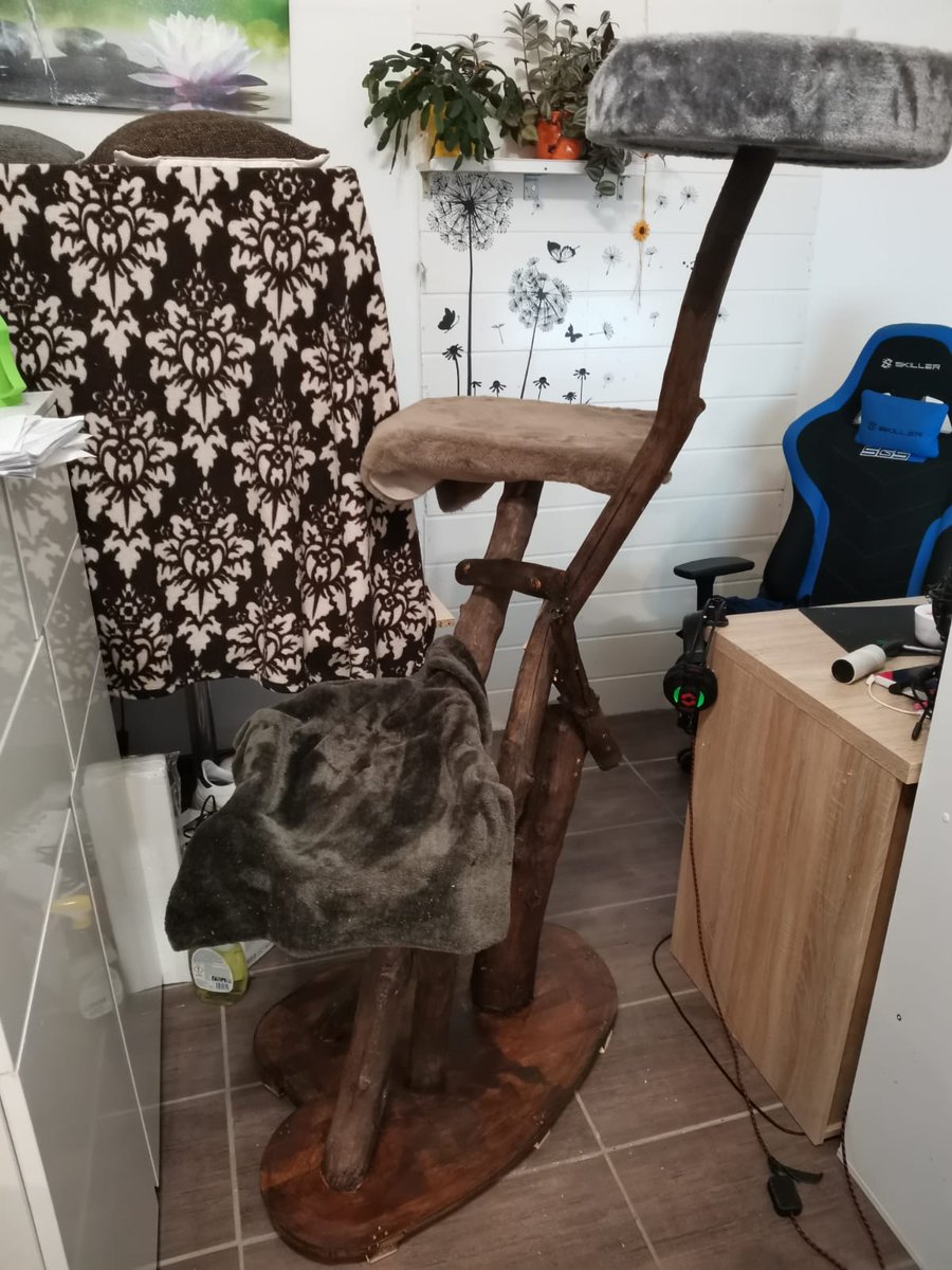 SobickStefan's tweet photo. Meine kleinen Stubentiger haben heute von mir ein besonderes Geschenk erhalten: Ein aus Totholz selbst gebauter Katzenbaum. #katzenliebe #stubentiger #dosenöffner #katzenbaum https://t.co/G0X6gS3DWl