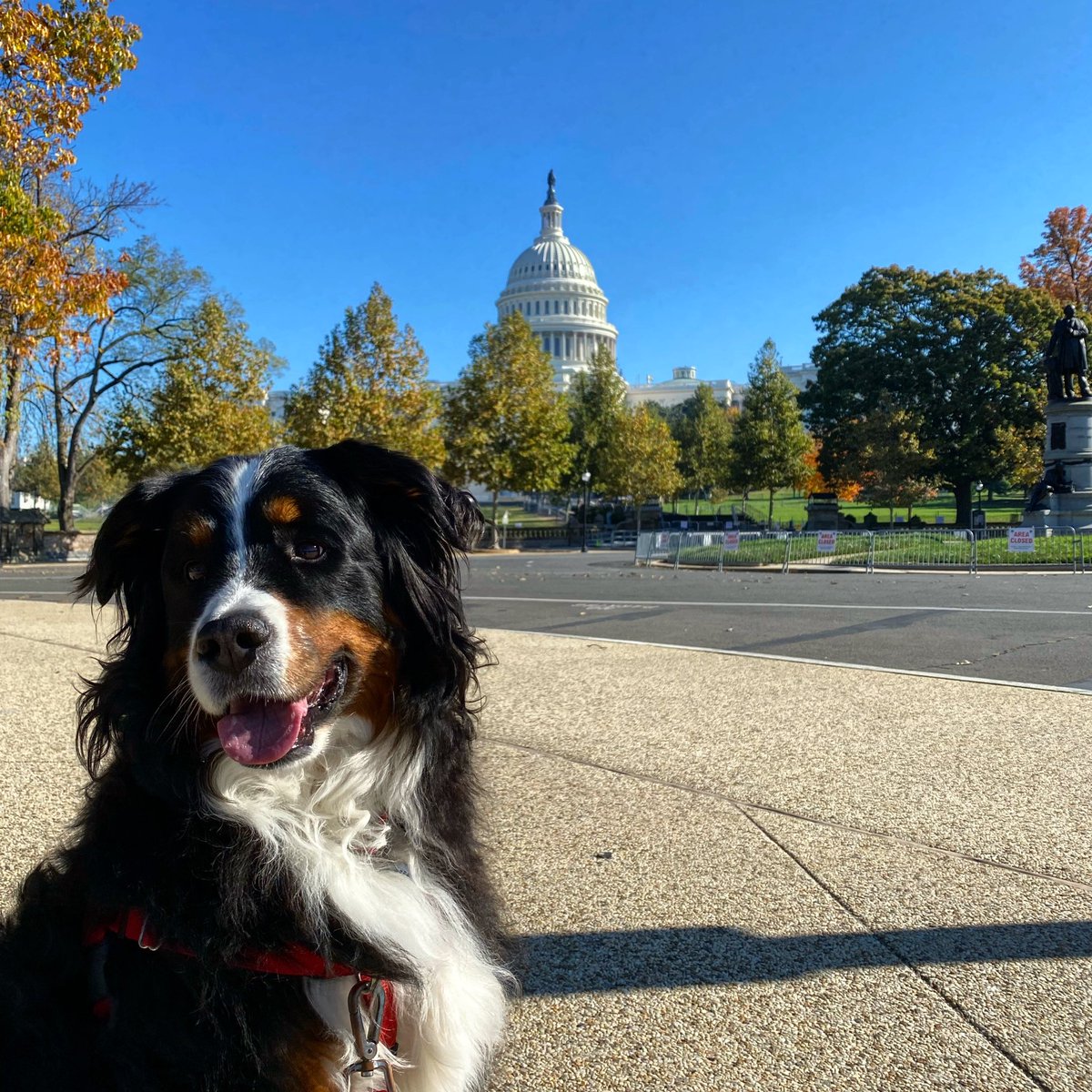 🇺🇸🇺🇸🇺🇸