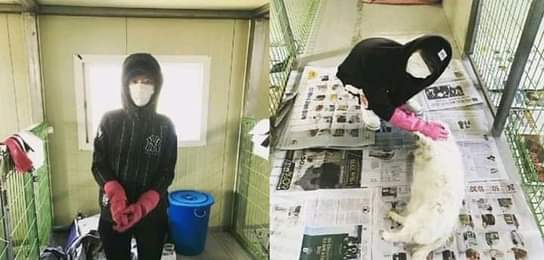 Jeongyeon and Momo volunteered to help an animal shelter.