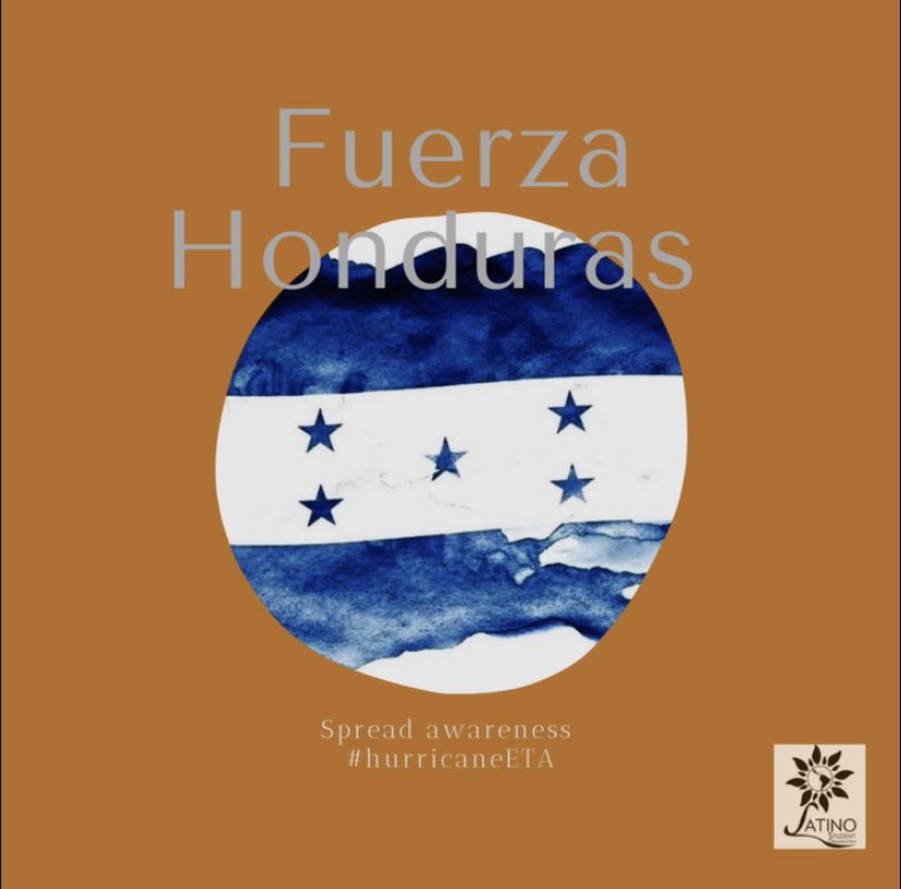 LSO Hope College tweet media