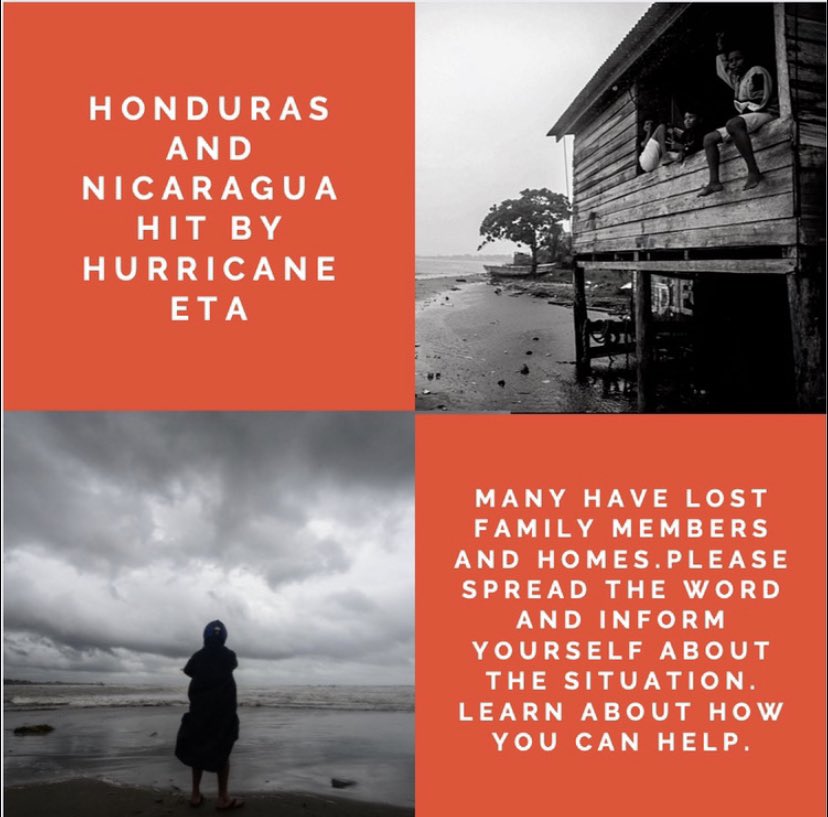 LSO Hope College tweet media