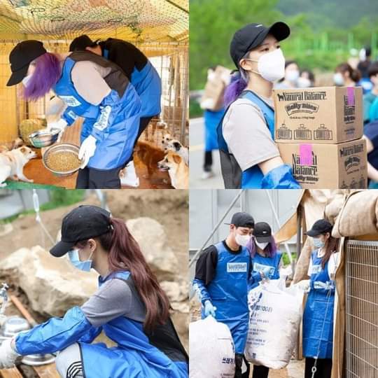 Photos of Jeongyeon and Tzuyu helping the abandoned dogs despite the busy schedules they have.