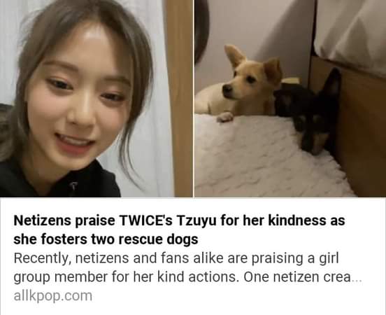 Truly Tzuyu needs to be praised for her kindness towards animals and the people.