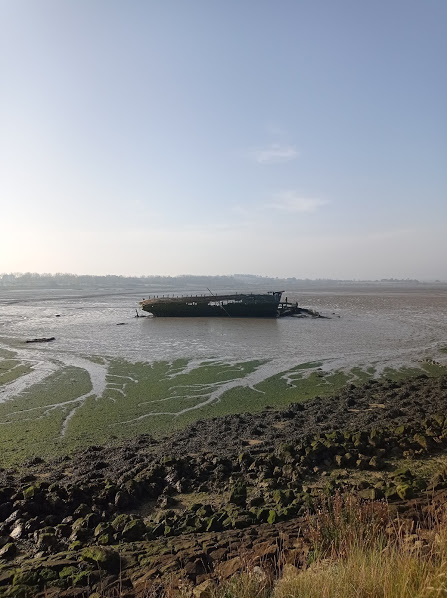 Bedlams Bottom turns out to be a graveyard for old ships and barges, rotting and sinking into the tidal mud. In one place they're laid out side by side like coffins at a plague burial.