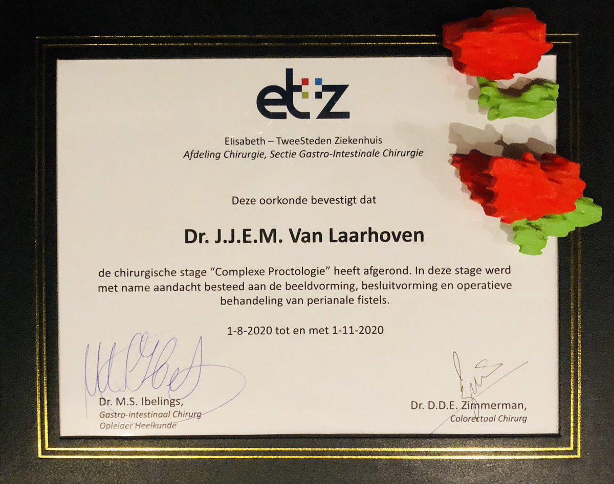 JJEMvanLaarhoven tweet media