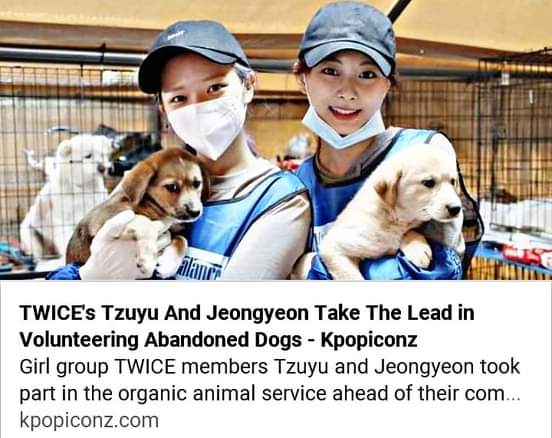 Jeongyeon and Tzuyu volunteered to help the abandoned dogs.