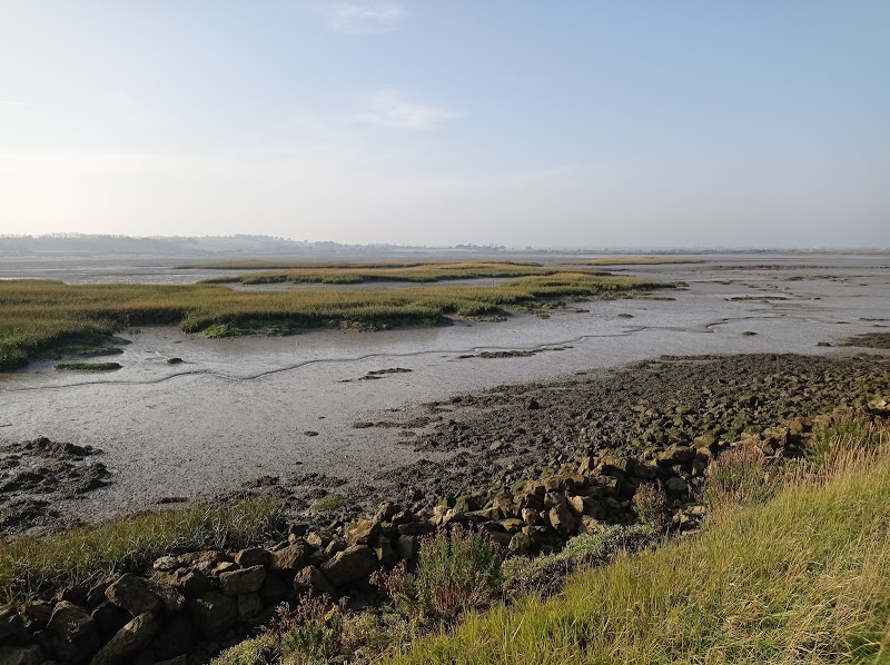 The mixture of tidal muds and salt marsh, and the peaceful shelter of this bay within a bay within a bay - a rather fractal geography - means it's busy with feeding and roosting shorebirds and wildfowl.