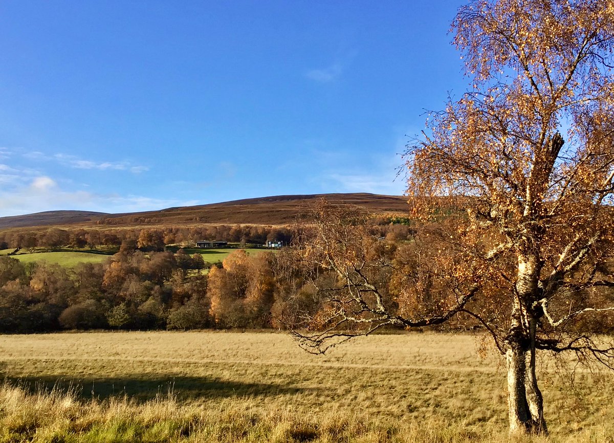 TheMackWalks's tweet photo. Today, Glenlivet💙#walking #hiking #Glenlivet #Drumin #Moray #visitMoray https://t.co/lw2zUqyVpd