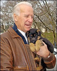ermonacelli's tweet photo. Dogs will be welcome back in the @WhiteHouse!!! Champ and Major are moving in. #BidenHarris2020 https://t.co/J7rrsWG4QQ