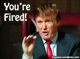 Steven Shepherd tweet media