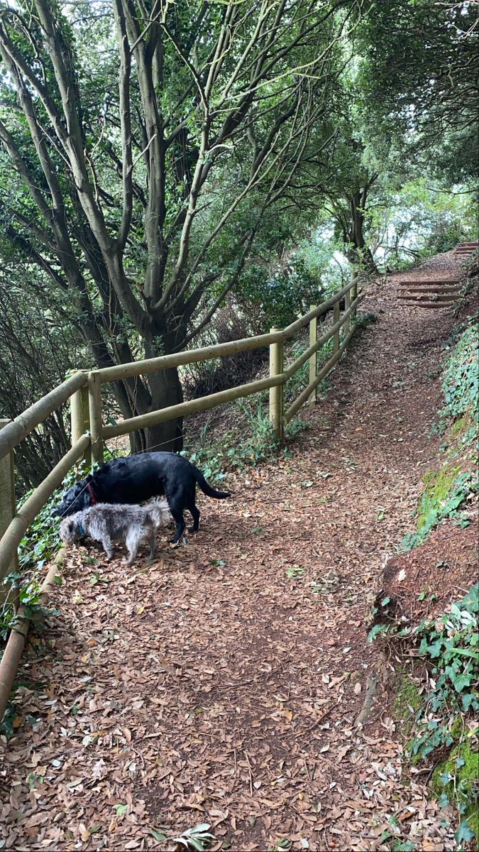 CWoszczyk's tweet photo. lovely autumn coastal walk with daughter and dogs. https://t.co/RpaDB1sNvJ