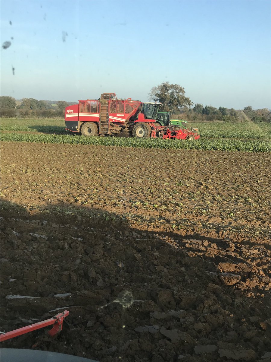 henry_catling's tweet photo. @KWSUKLtd #convisosmart beet being lifted for @BritishSugar and drilled with #firefly wheat today.
@GrimmeUK @JohnDeere https://t.co/Fh1XOPQPWV
