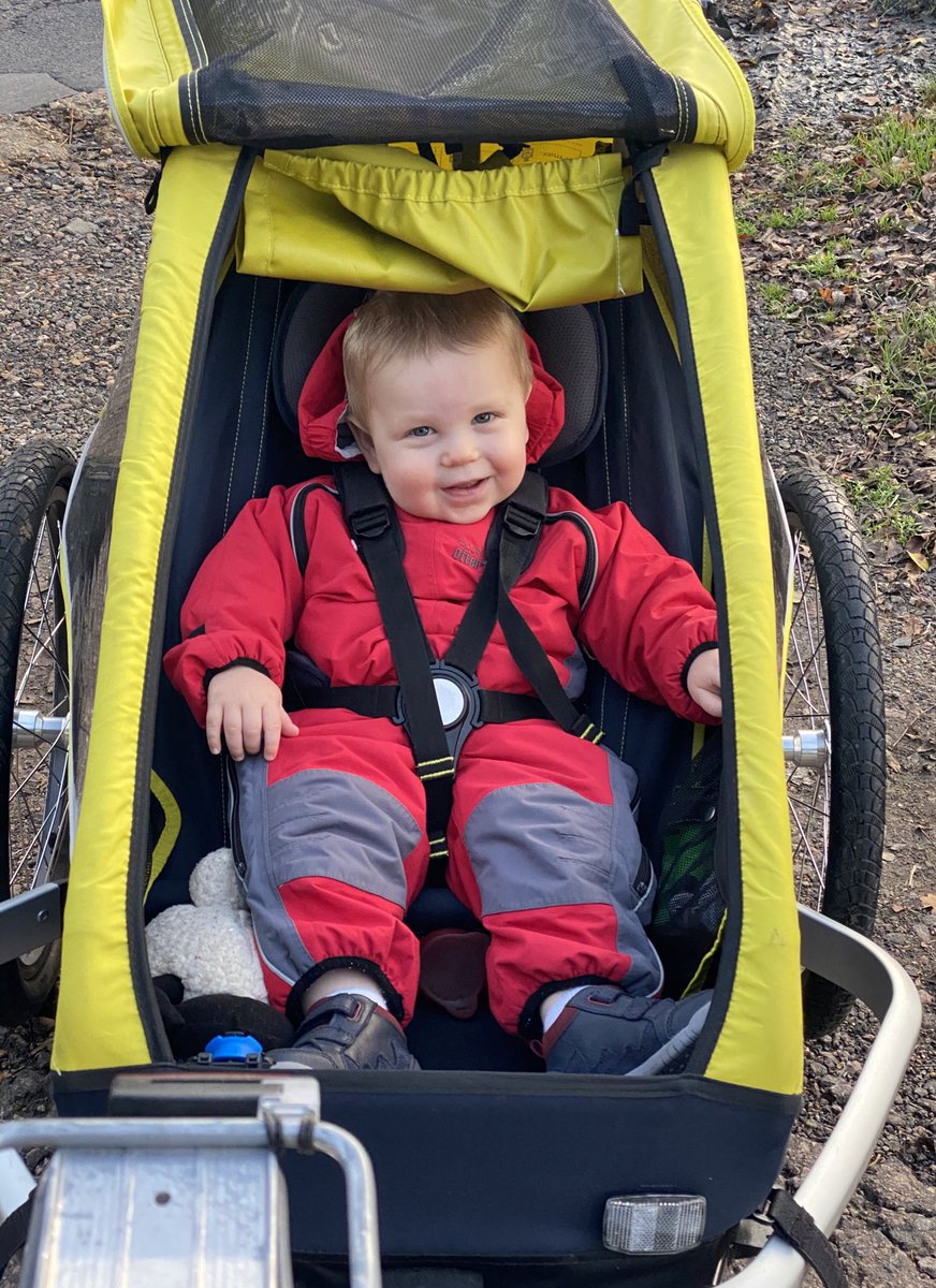 FamilyByCycle's tweet photo. Today we have two riders yet to go. @thomas_ivor has left his cycling shoes at school 🙄 and @mummybycycle has been painting the windows while the sun shines. Ruth and Rhoda took turns to help drag Bob round the Borough and visit the butchers. Podcast later. #LockdownByCycle https://t.co/bXlfoMH81J