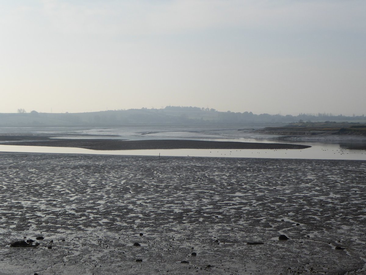 This low, flat place is deceptive - up close it's revealed to be unsimple, a layered and infinite landscape, riddled with niches, boltholes, havens, expanses, cover & sightlines, larders, corridors dry and wet - wildlife diversity and abundance loves and needs these complexities.