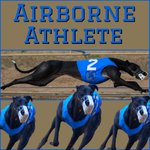 Photo by Real Greyhound Advocates (@RealGreyhound)