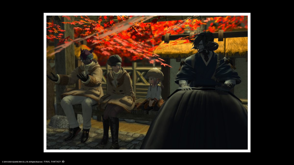 紅葉! 