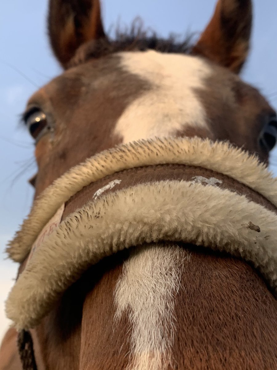 What an amazingly sunny day today.