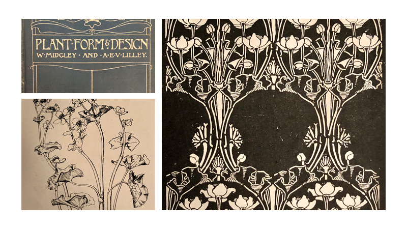 michaelffay60's tweet photo. #IllustratedBooks: Plant Form &amp; Design (1916). Midgley &amp; Lilley.  Lilley's drawing of #Caltha palustris (#Ranunculaceae) and his design based on the drawing. #Botany #Plants #ArtNouveau #ArtsAndCrafts https://t.co/CmGkxjqErE