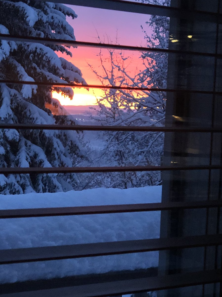 RichardHum44's tweet photo. And a cheesy new day dawns!😝 https://t.co/RetwYRqEet