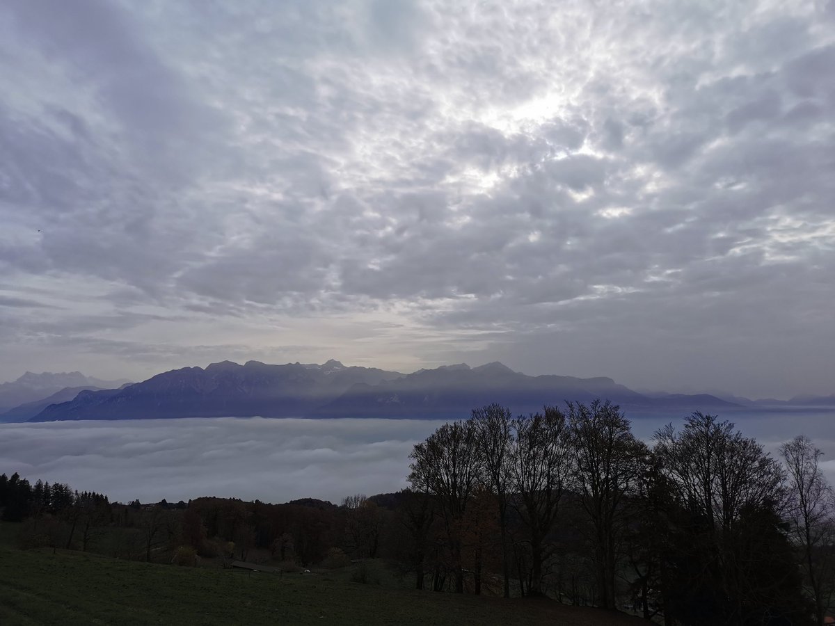 crypt0marc0's tweet photo. @mtpelerin Nice walk and fantastic view! https://t.co/RSxly7a8kn
