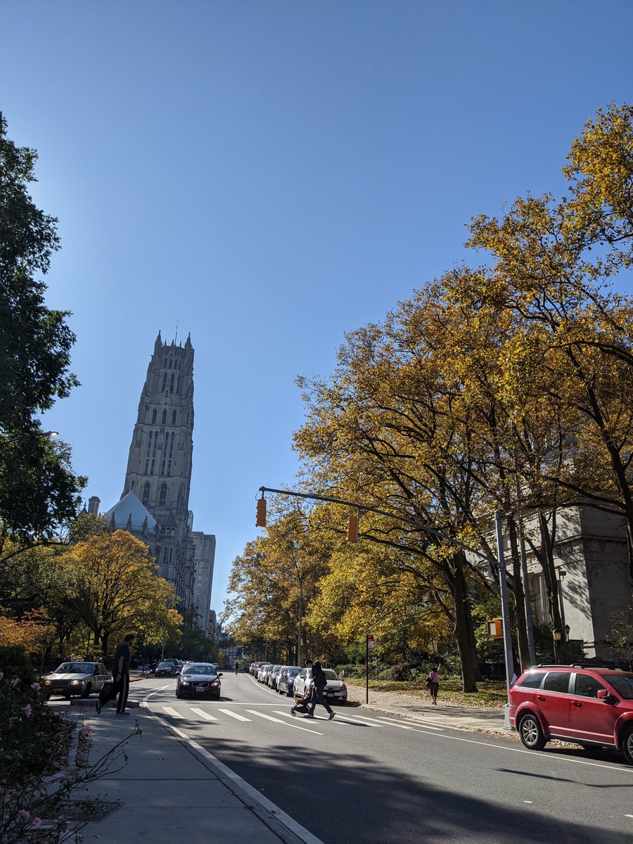New York has been unreal this year. The cheers at 7pm. The Black Lives Matter protests that never ended even when the news have already moved on. And now finding out Biden's victory on the streets.

We just cried so hard. It's a beautiful day.