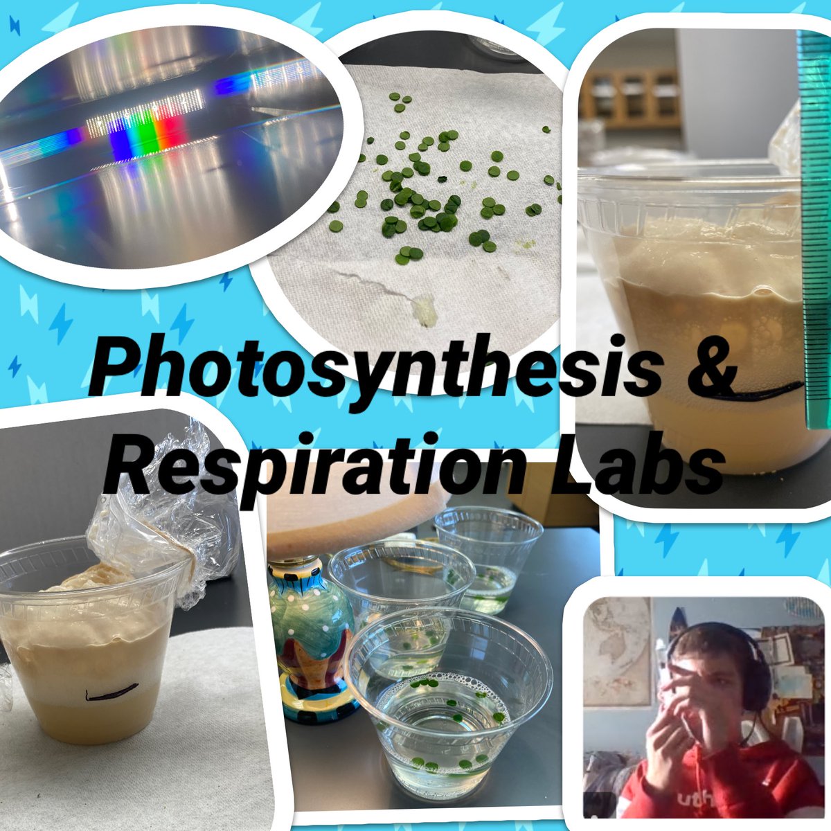 This was a week of at home labs for my students as we explored photosynthesis and respiration. It’s not the same or quite as in depth but we’re DOING science to learn science #DOscience #wearecue #cvtechtalk