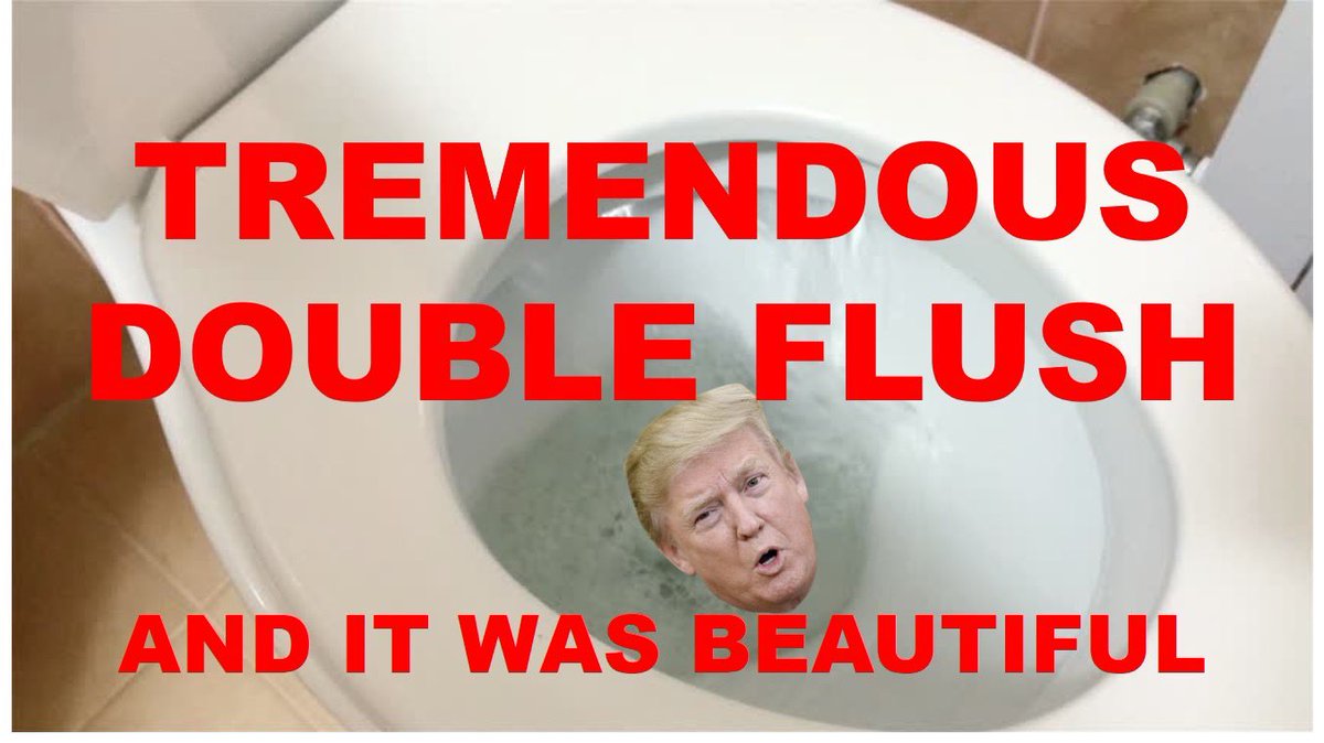 RogueFirstLady's tweet photo. #DoubleFlush https://t.co/mwfWTOokCv