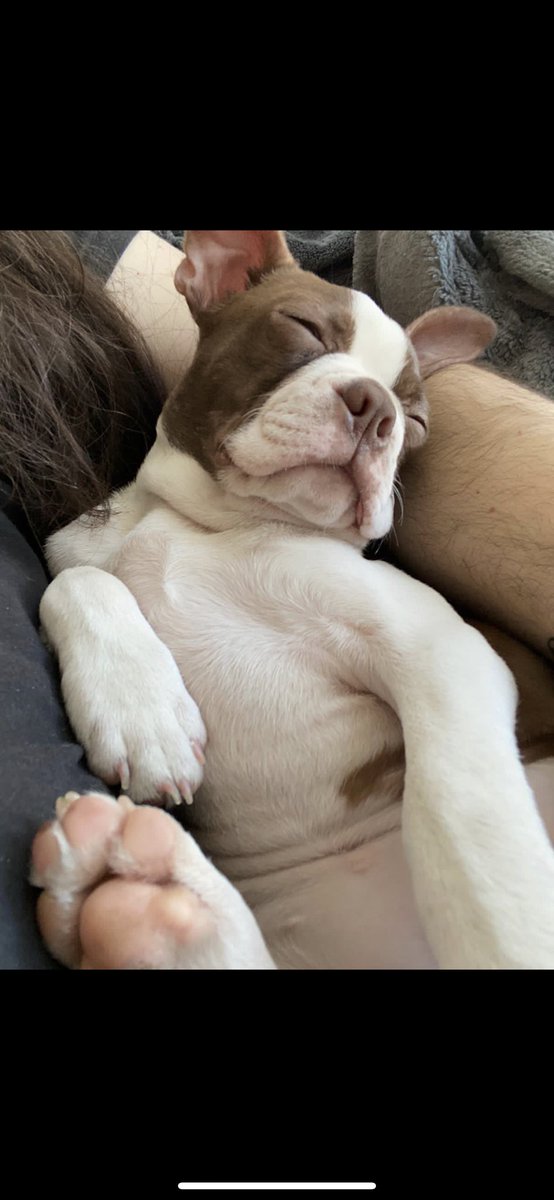 terzieva's tweet photo. @BestCoast When Ruby wakes up I will for sure be doing the happy spins with her!!!!! https://t.co/OtxYFulnbg