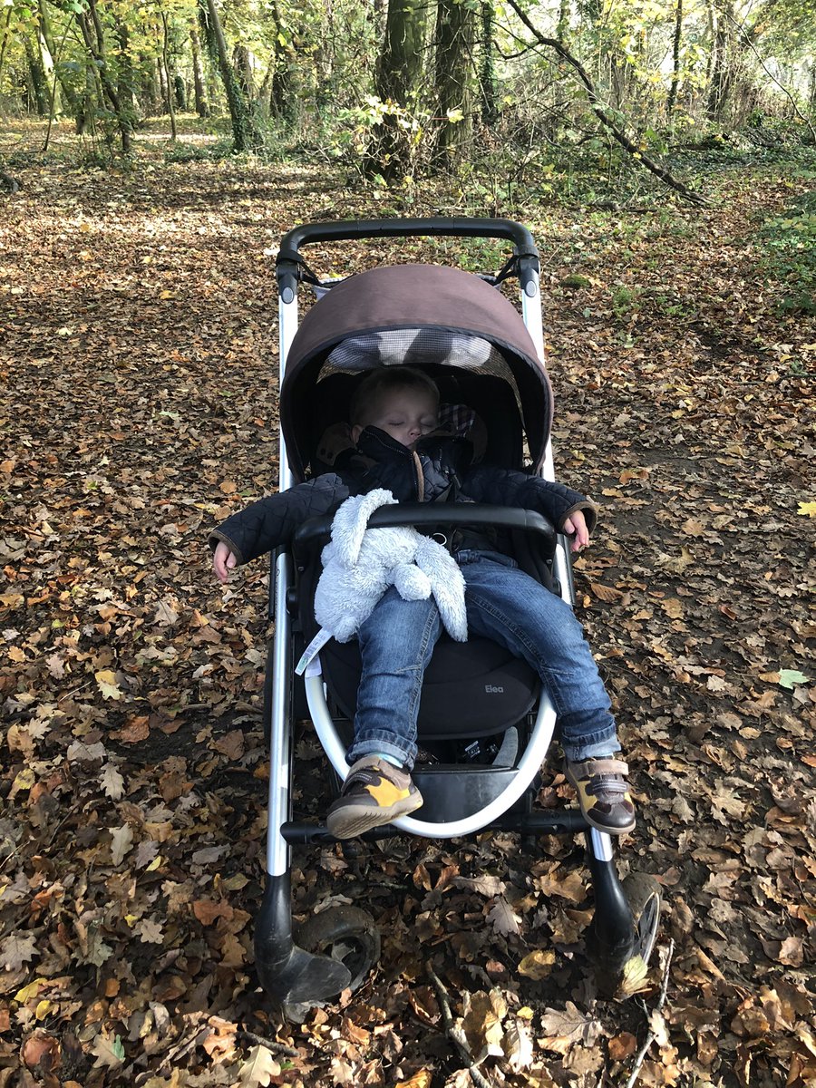 The dog walk was just too much for his little feet today!