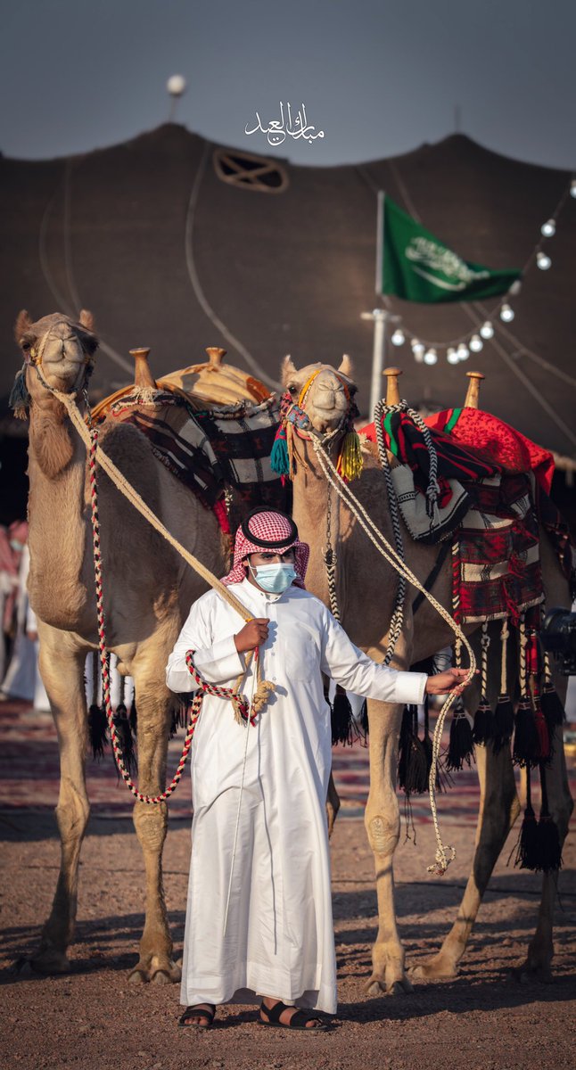 المشاركين في 
#مسابقة_هواية_التصوير 
بـ #مزاد_الشنان_للإبل 
مشاركة المتسابق 
@mubark_aleid