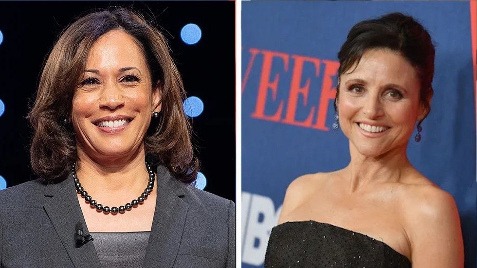 thehill's tweet photo. Julia Louis-Dreyfus after Biden win: "Madam Vice President" is no longer a fictional character https://t.co/Tny31ojwlb https://t.co/auO7nztS1Z