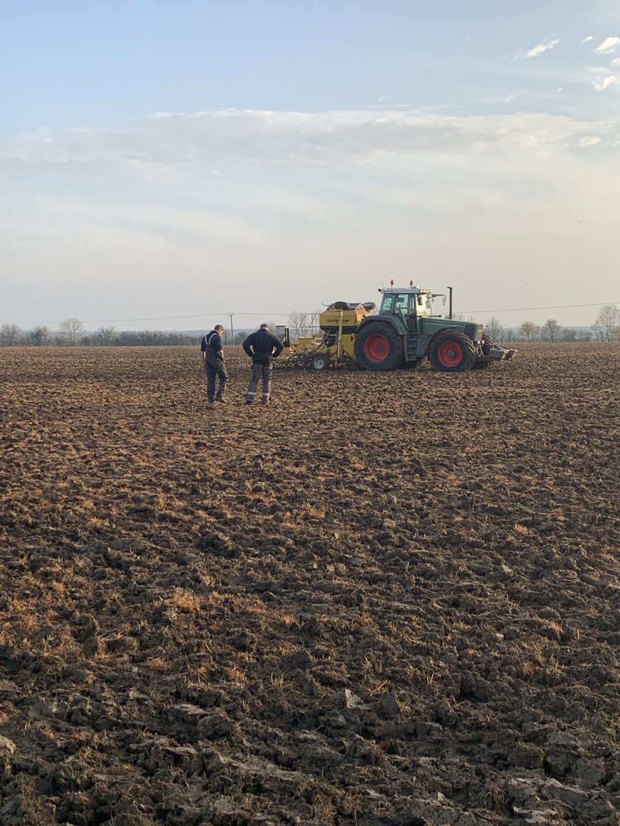 Thanks ⁦<a href="/TaigNorman/">Taig Norman</a>⁩ for drilling some Traktor forage rye today. VERY late to be putting rye in but let’s see how it goes. 🤞🤞
