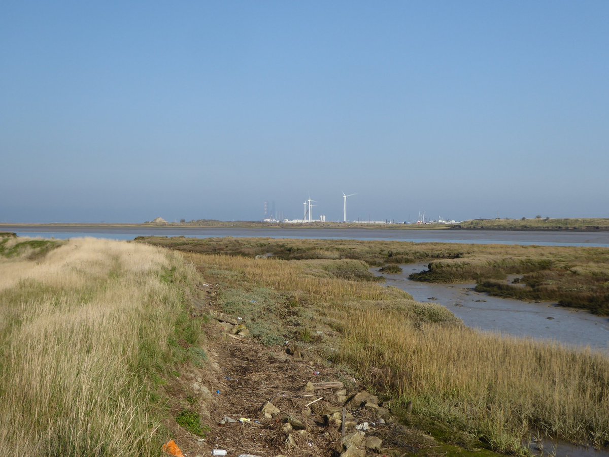 We reached the Swale, pretty narrow here, the otherworldly Isle of Sheppey a stone's throw away. If you saw the first series of The End of the F***ing World you'll have seen some of the back-of-beyond Sheppey landscapes that were so perfect for that show. By the way...