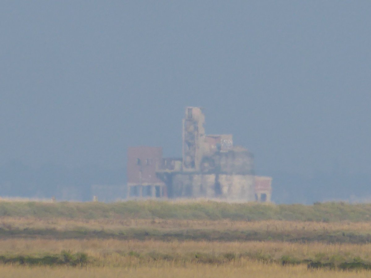 So I checked my  @OrdnanceSurvey map (when is OS going to sponsor me???) (all map images here are from the OS website by the way) and realised with a start that we had a clear line of sight beyond Sheppey's Ladies Hole Point & out to the Grain Fort, which was kind of mindboggling.