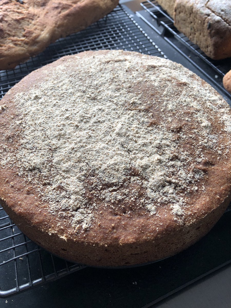 VirtuousBread's tweet photo. Glorious “peasant bread” sourdough rye and wheat with molasses and spices is incredible with strong cheese....#ryerevival #ryelove @BreadAngels @RealBread https://t.co/GOOdtvSGLC