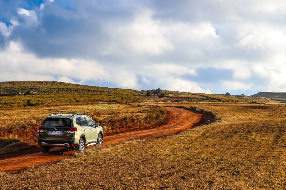 cochesafondo's tweet photo. Prueba del #SubaruForester #EcoHybrid, la respuesta de @subaru_es para quienes necesitan un coche familiar, robusto, seguro y con #etiquetaEco. 
👉 https://t.co/T2pk1SEJ53 https://t.co/qO2GVODx8o